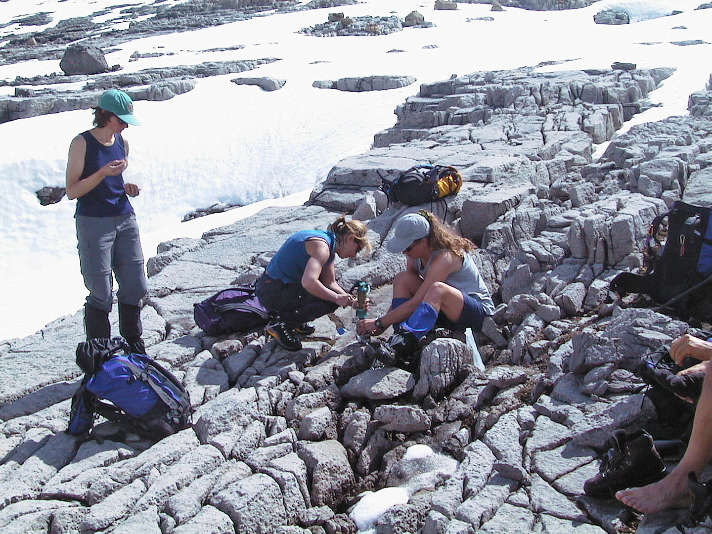 collect water from melting snow