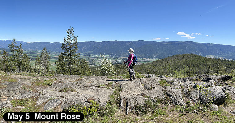 Mount Rose Swanson