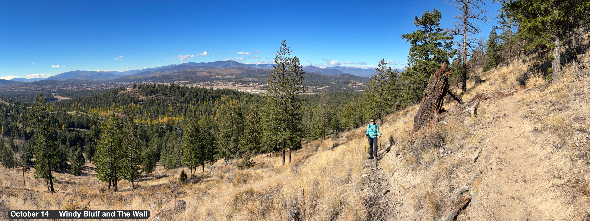 Windy Bluff