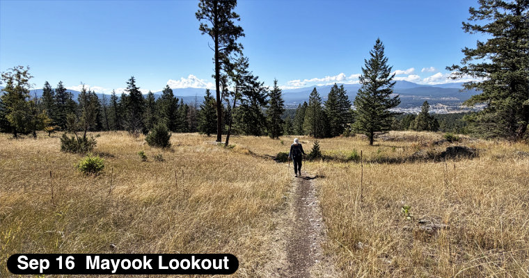 Mayook Lookout